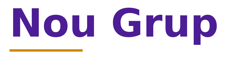 Nou Grup logo